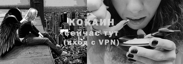 марки nbome Каменногорск