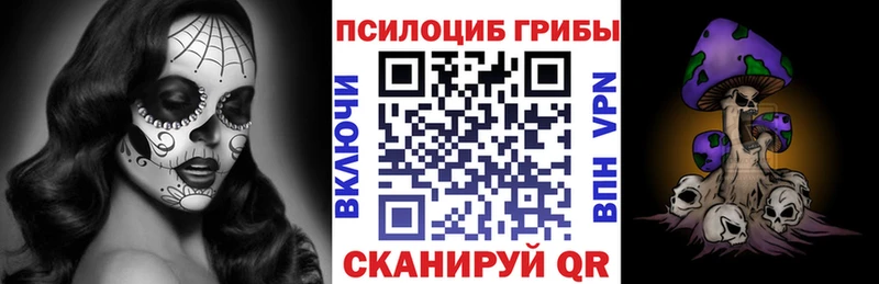 Купить где  Нелидово  Псилоцибиновые грибы MAGIC MUSHROOMS 